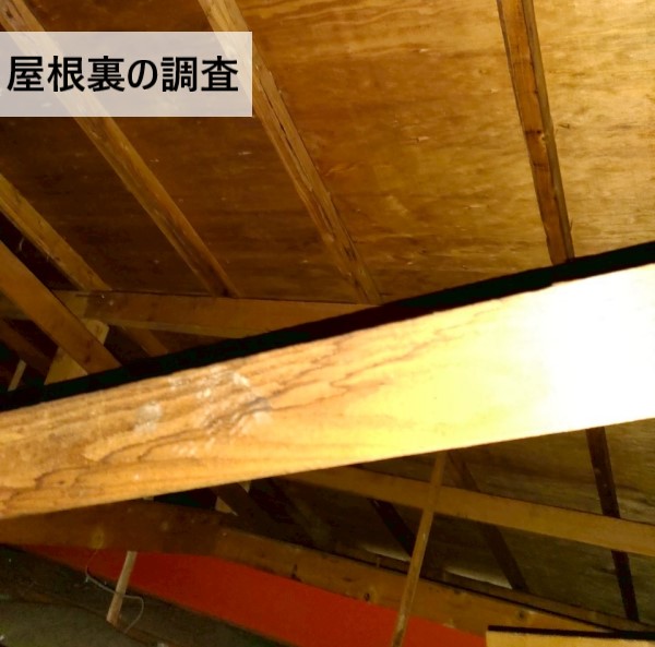 屋根裏の調査を行いました