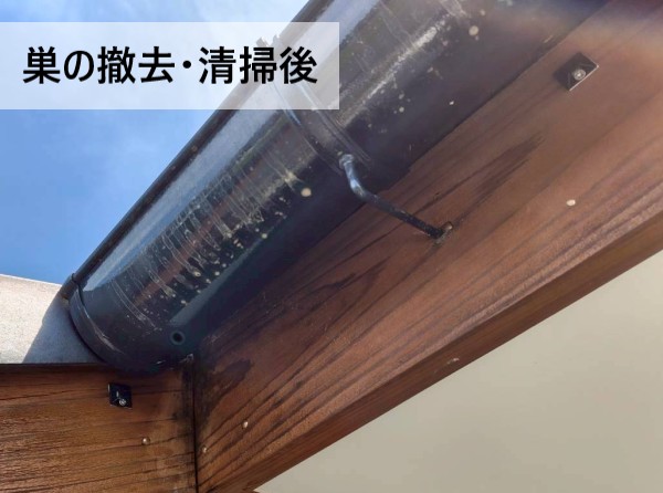 巣の撤去・清掃後の状態