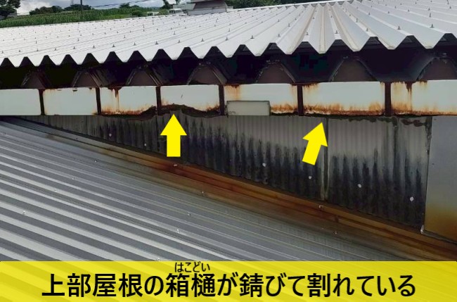 工場の上部屋根の箱樋が錆びて割れている