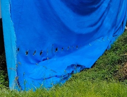 応急処置のブルーシートが劣化して台風で剥がれた