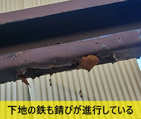 手すりの下地の鉄も錆びが進行しています