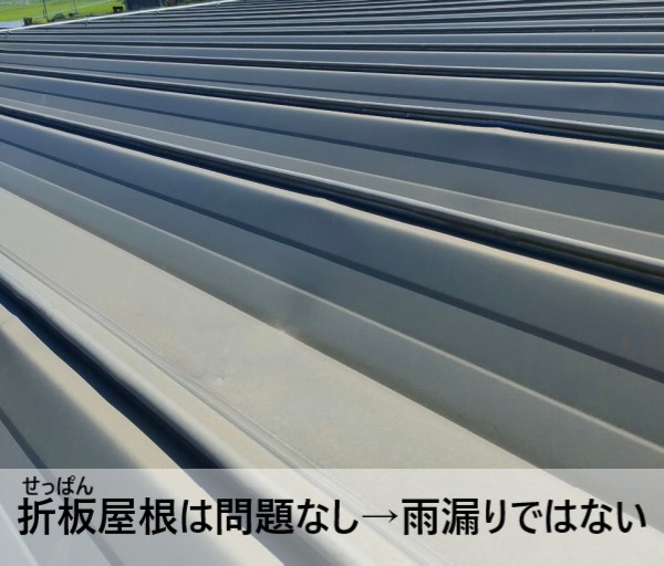 折板屋根には問題なしの為雨漏りではない