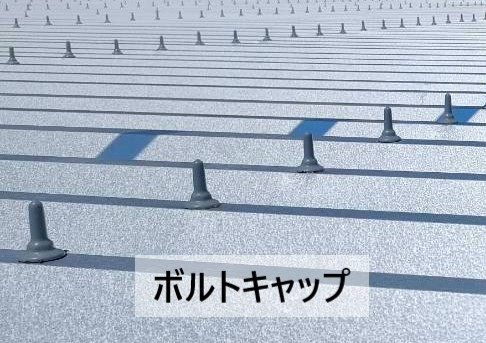 折板屋根のボルトにボルトキャップをかぶせます