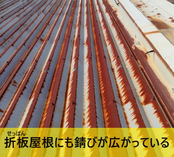 折板屋根全面に錆びが広がっている