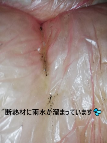 断熱材に雨水が溜まっている