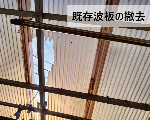 既存波板の撤去