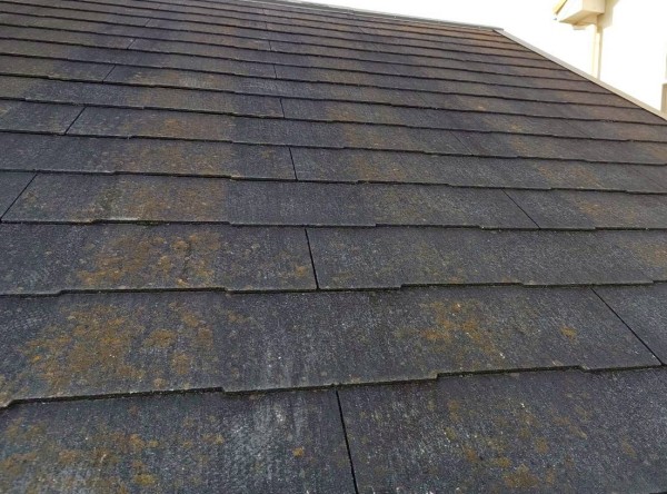 日当たりが悪い場所では苔が生えているコロニアルNEO