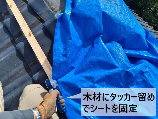 木材にタッカー留めでブルーシートを固定しました