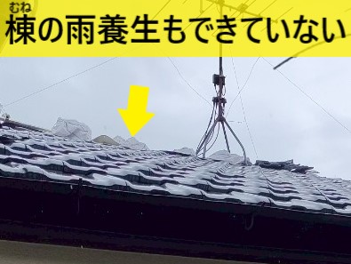 棟の雨養生もできていません