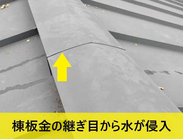 棟板金の継ぎ目から雨水が侵入した可能性が高い
