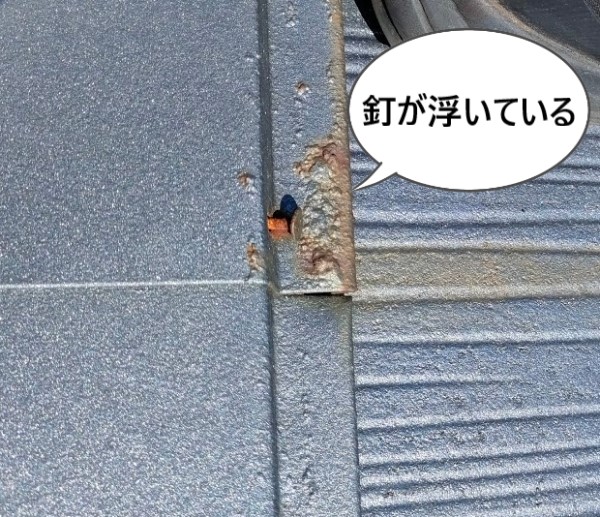 棟板金の釘が浮いている
