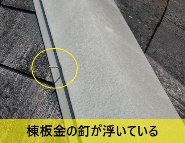 棟板金の釘が浮いている