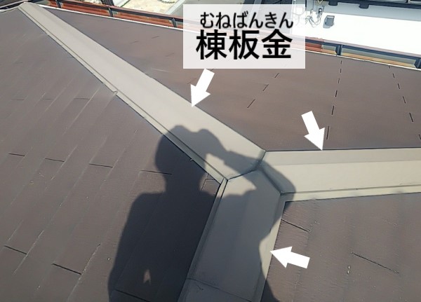 棟板金の釘が浮いている