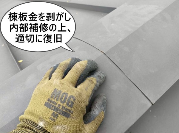 棟板金を一旦剥がし、内部補修を行ったうえ、適切に復旧する工事をご提案しました