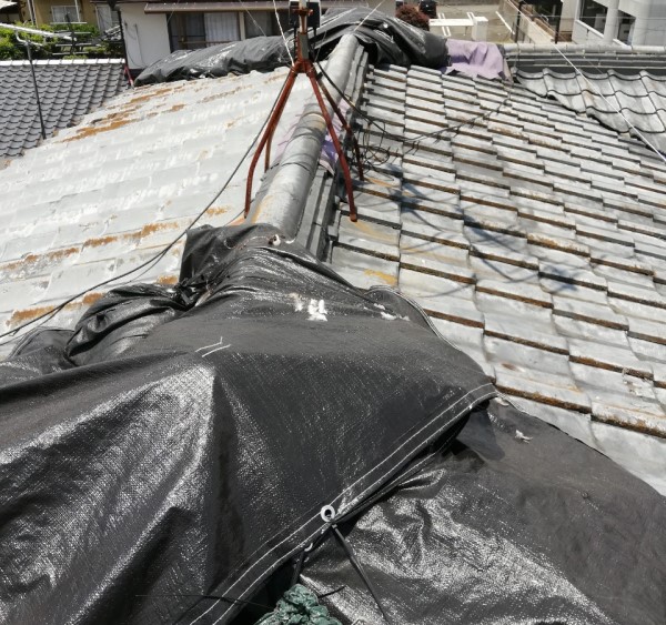 棟瓦にはブルーシートが被せられています
