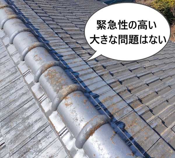 棟瓦周辺に緊急性の高い大きな問題はありません