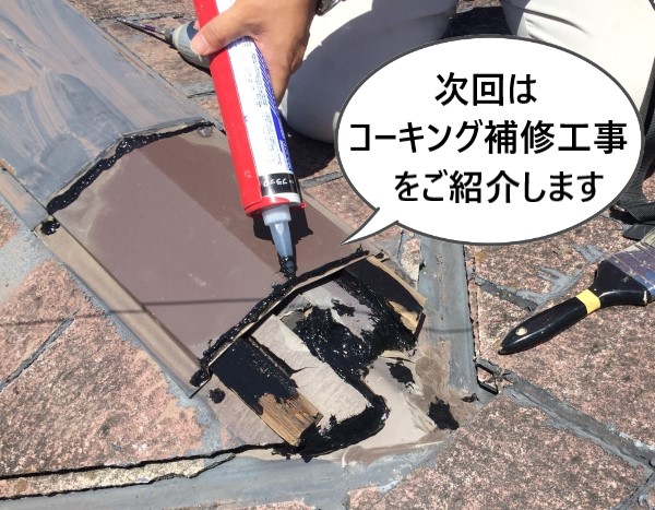 次回のブログではコーキング補修工事の様子をご紹介します