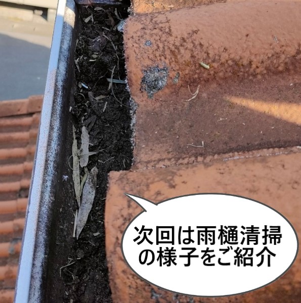 次回は雨樋清掃の様子をご紹介します