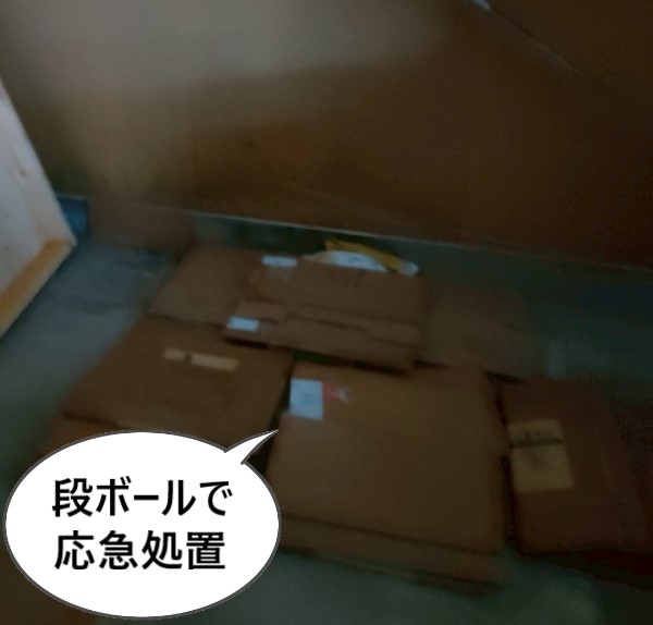 段ボールを床に敷いて雨漏りを応急処置していました