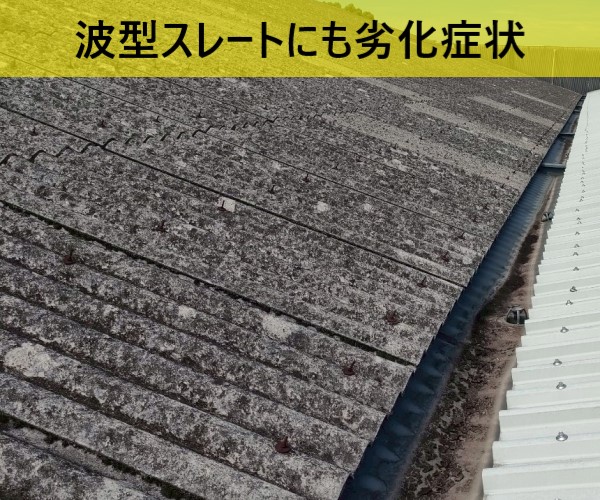 波型スレートにも劣化症状