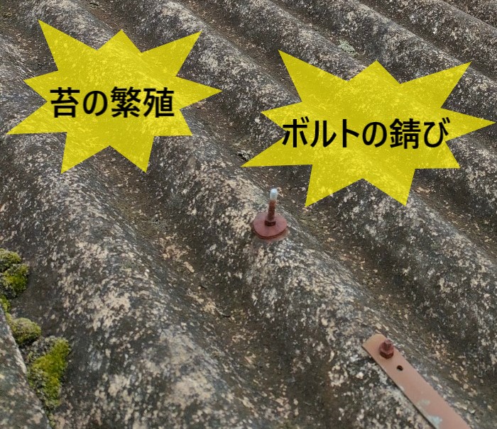 波型スレートに苔の繁殖やボルトの錆びが見られます