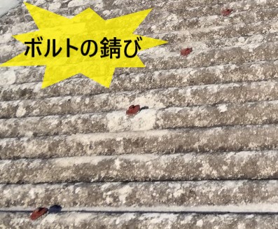 波型スレートのボルトが錆びている