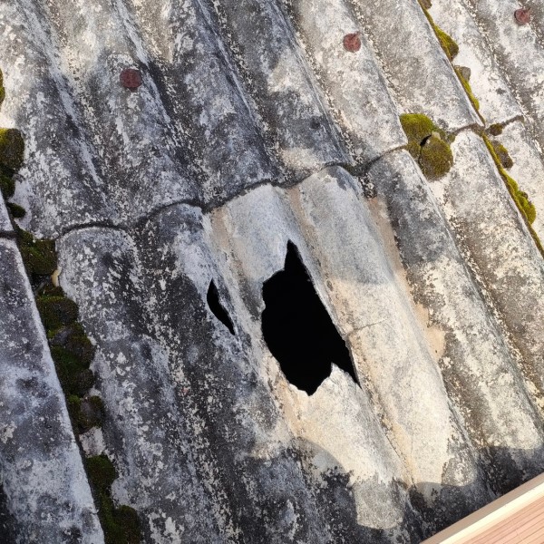 波型スレートの老朽化で穴が開いている