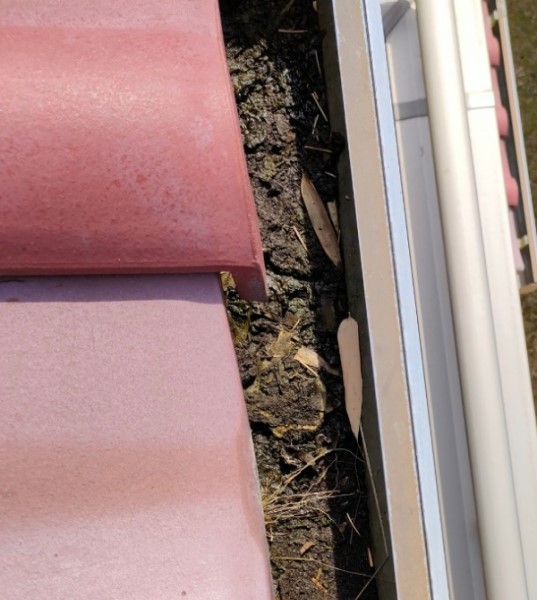 泥や笹の葉が溜まった軒樋