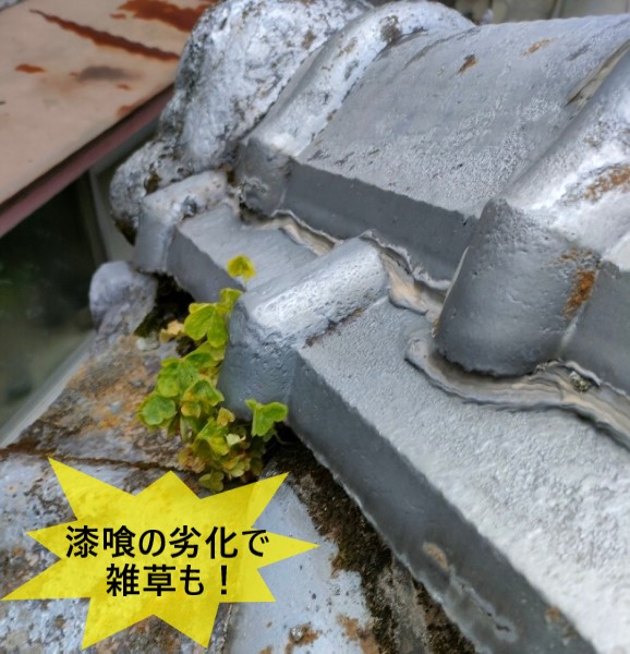 漆喰の劣化で雑草が生えている