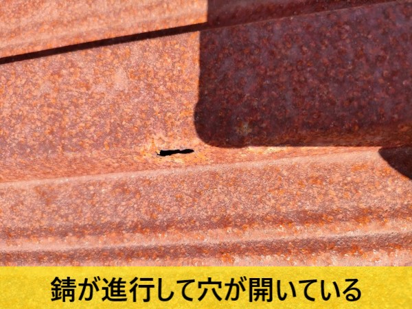 物置の屋根で錆びが進行して穴が開いている