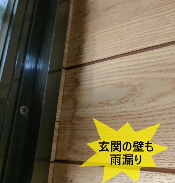 玄関の壁も雨漏り