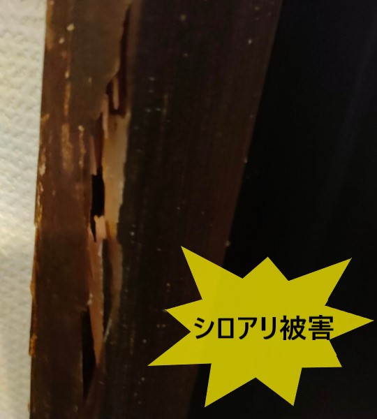 玄関ドアシロアリ被害