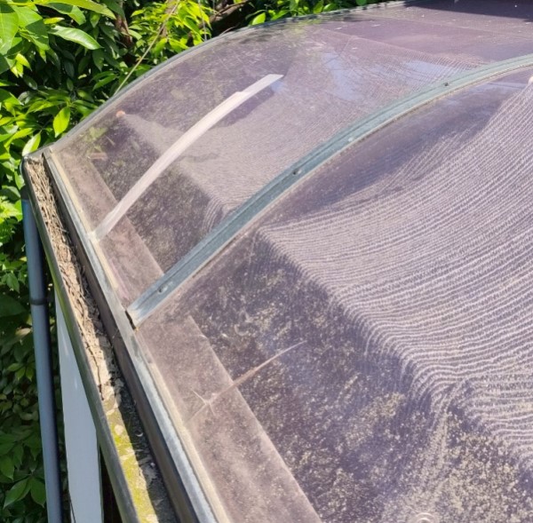 現地調査を行うサンルーム