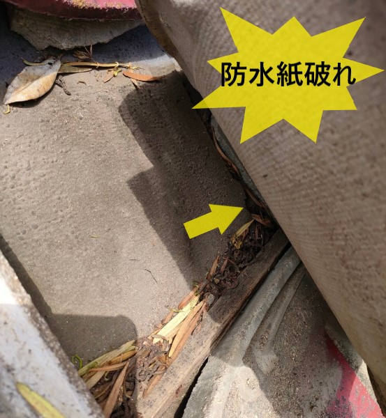 瓦がズレて防水紙も破れている