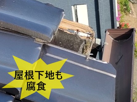 瓦が落下した事で屋根下地も腐食しました