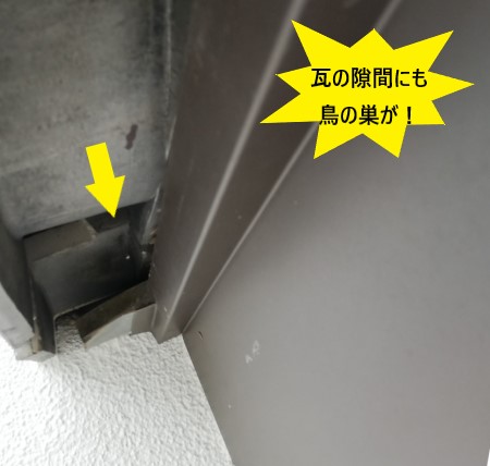 瓦の隙間に鳥の巣