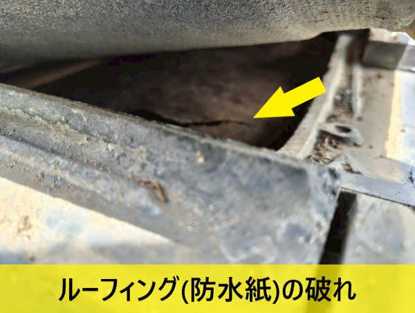 瓦をめくって調査するとルーフィング（防水紙）の破れを確認