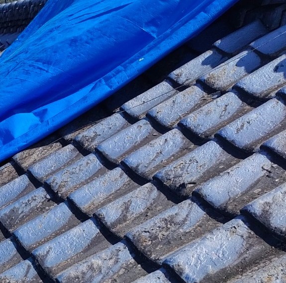 瓦に問題はありません