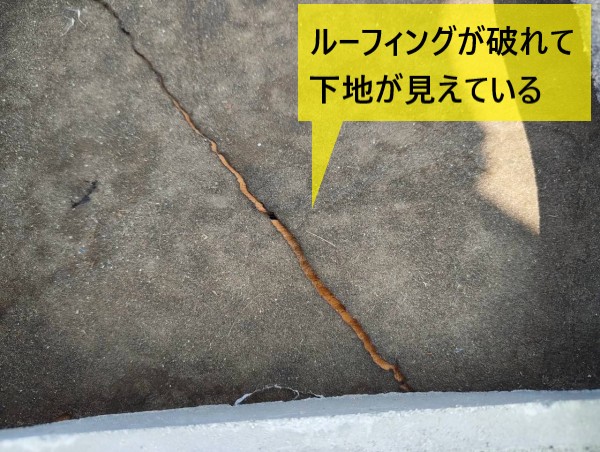 瓦屋根のルーフィングが破れて下地が見えている状態