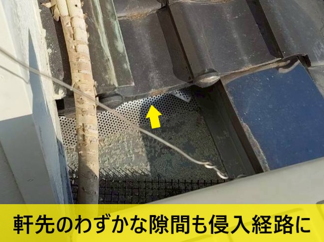瓦屋根の軒先にあるわずかな隙間