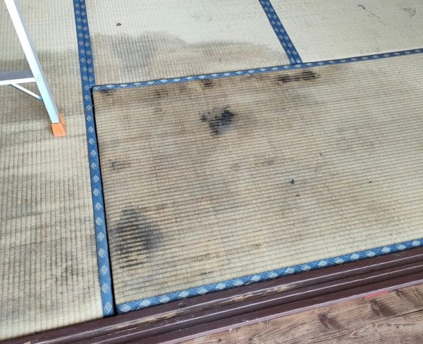 畳に広範囲のシミができている