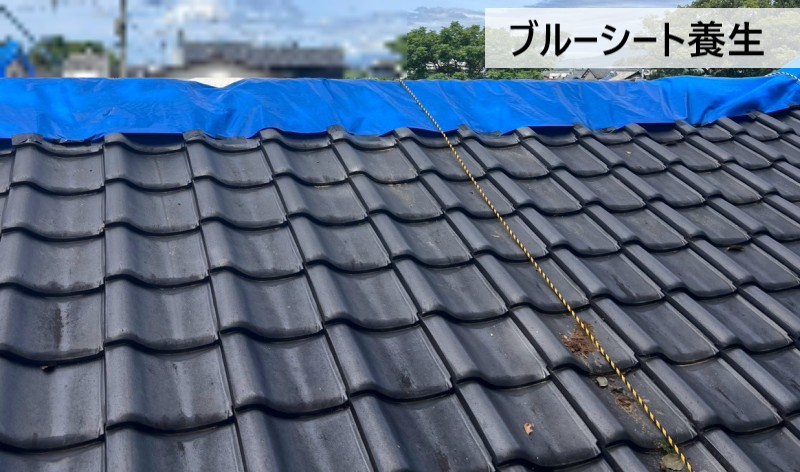 社務所の瓦屋根にブルーシート養生
