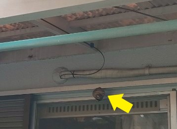 窓際に作られた蜂の巣