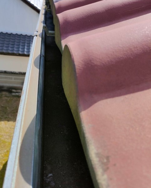 竹藪がない方の軒樋はそんなに溜まっていません