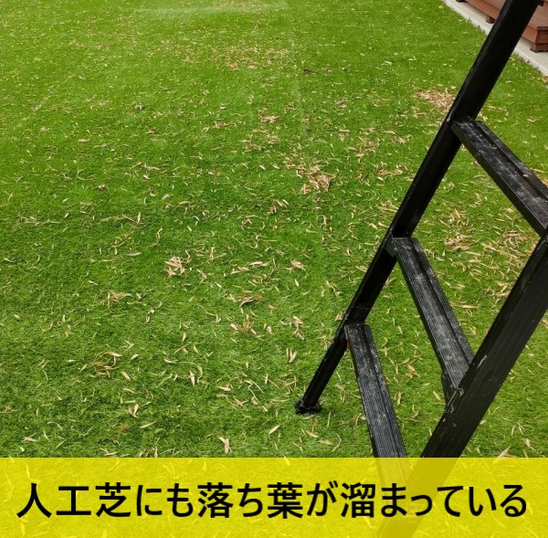 竹藪が隣にある為人工芝にも笹の葉が溜まっている