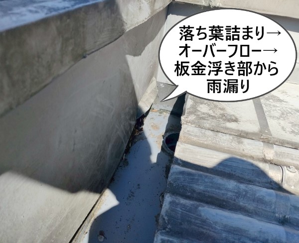箱樋の落ち葉詰まりからオーバーフローが起き、板金浮き部から雨漏りしたと見られます