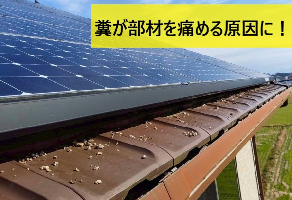 糞が部材を痛める原因にもなります