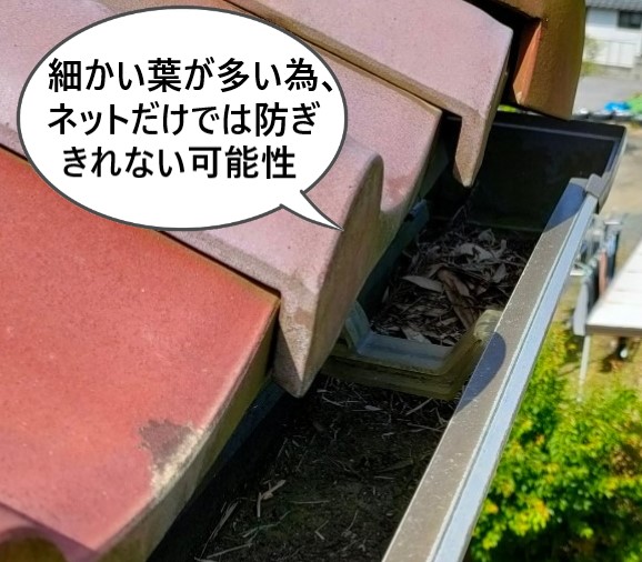 細かい葉っぱが多いので、落ち葉除けネットだけでは不十分な可能性がある