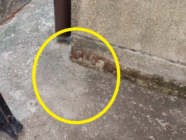 縦樋から流れてきた雨水が土間に溜まる