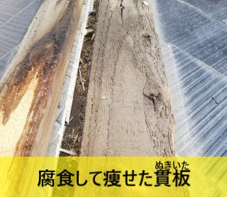 腐食して痩せた貫板